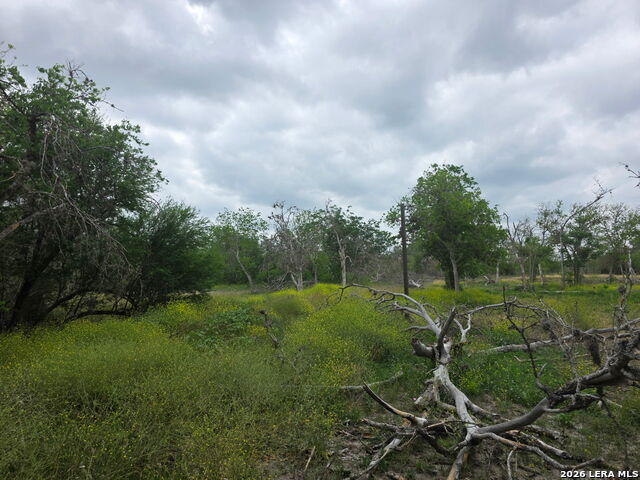 2328 E Chavaneaux Property Photo 1