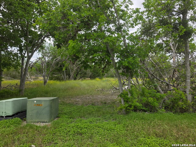 2328 E Chavaneaux Property Photo 4