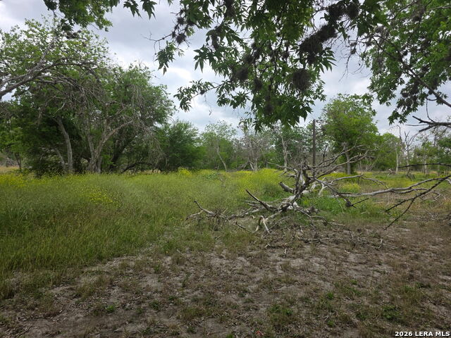 2328 E Chavaneaux Property Photo 6