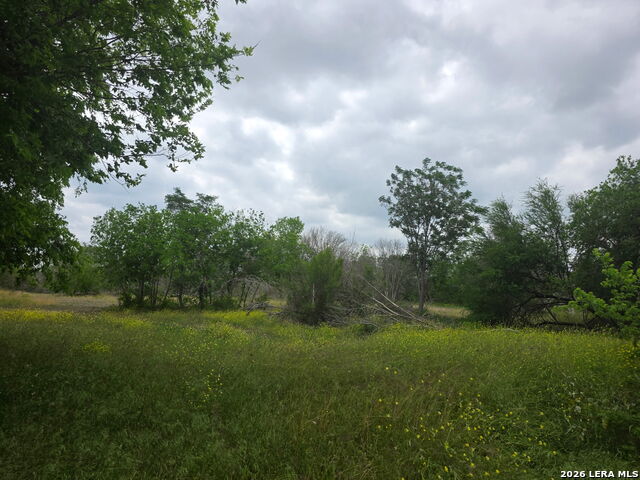 2332 E Chavaneaux Property Photo 2
