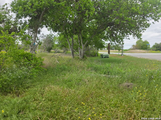 2332 E Chavaneaux Property Photo 3
