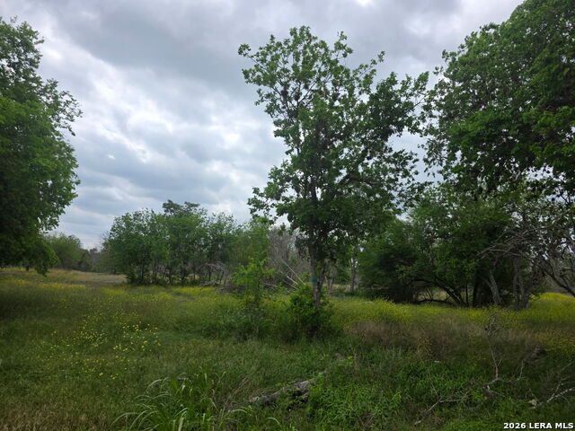 2332 E Chavaneaux Property Photo 5