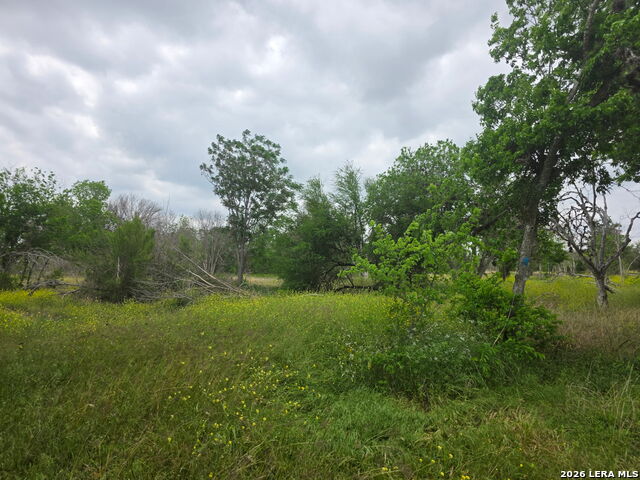 2332 E Chavaneaux Property Photo 6