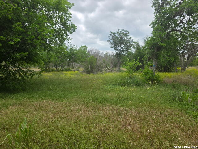 2332 E Chavaneaux Property Photo 7