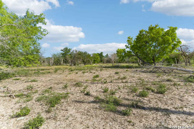 2332 E Chavaneaux Property Photo 9