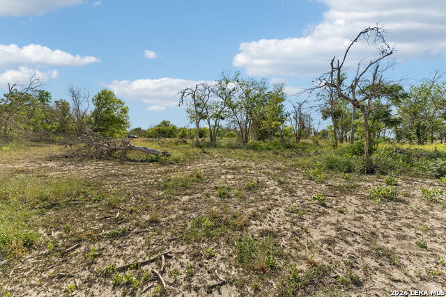 2332 E Chavaneaux Property Photo 13