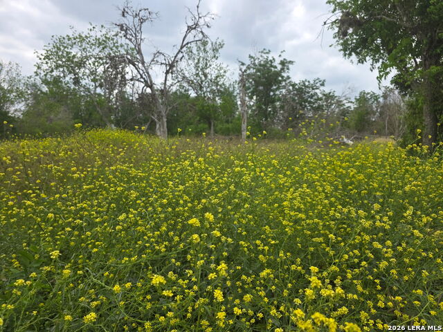 2324 E Chavaneaux Property Photo 1