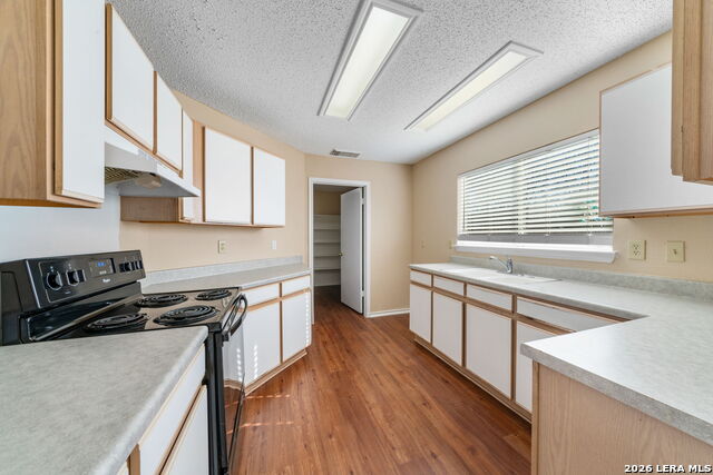 7038 Cole Creek Property Photo 5