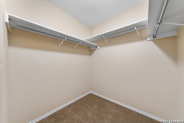 7038 Cole Creek Property Photo 13