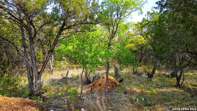 37 Stardust Property Photo 3