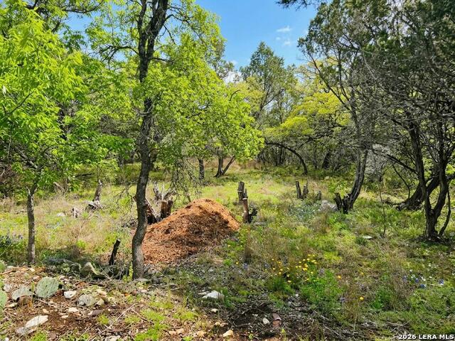 37 Stardust Property Photo 7