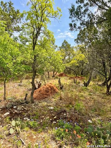 37 Stardust Property Photo 8