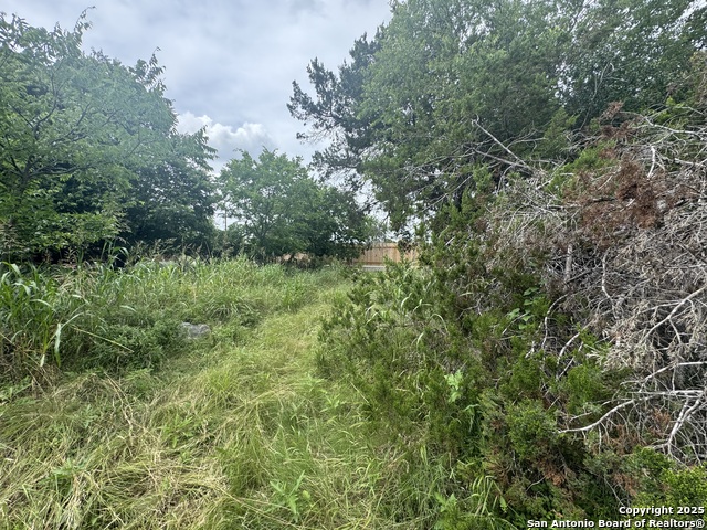 Lot 10 Browning Property Photo 13