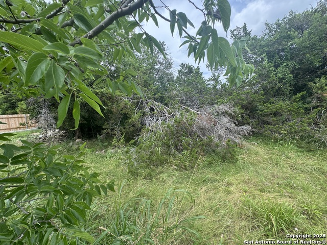Lot 10 Browning Property Photo 17