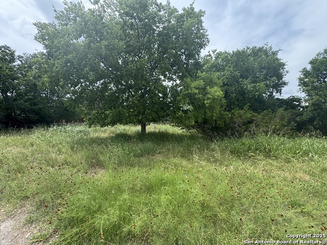 Lot 10 Browning Property Photo 33
