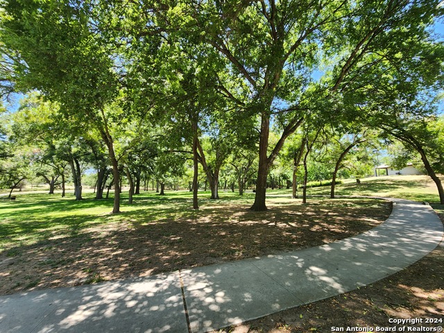 795 Albert St Property Photo 23