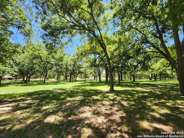 795 Albert St Property Photo 24
