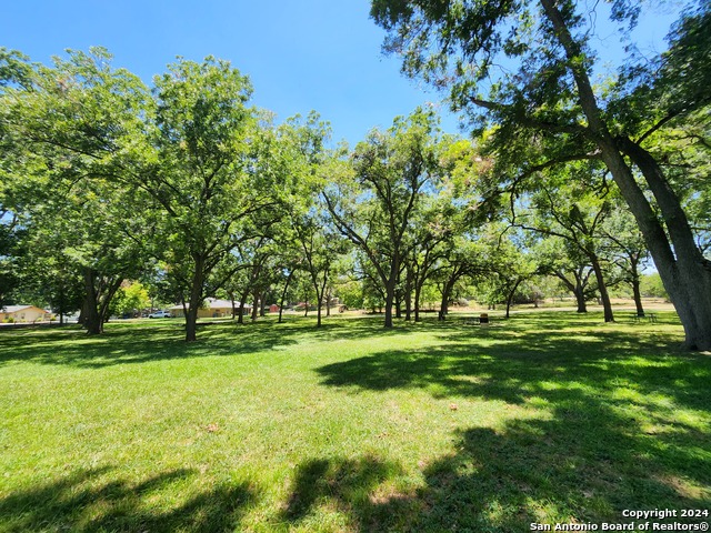 795 Albert St Property Photo 26