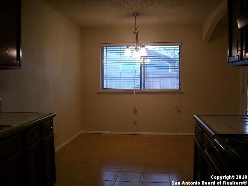 8907 Timber Elm St Property Photo 4