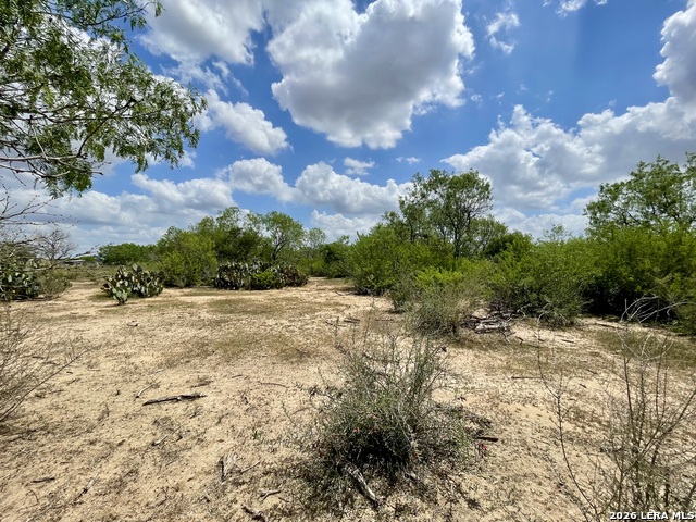 2566 Fm 539 Property Photo 5