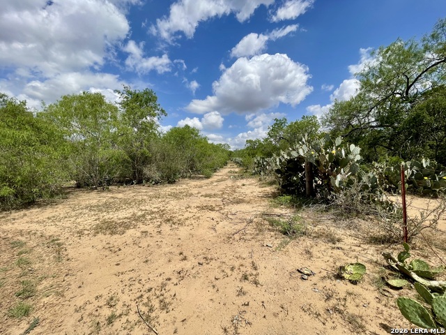 2566 Fm 539 Property Photo 9