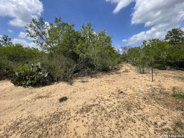 2566 Fm 539 Property Photo 11
