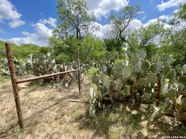 2566 Fm 539 Property Photo 12