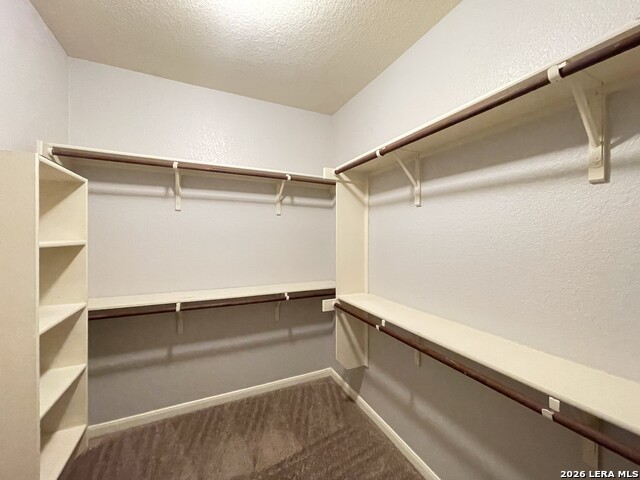 6202 Diego Ln Property Photo 23