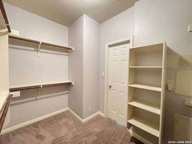 6202 Diego Ln Property Photo 24
