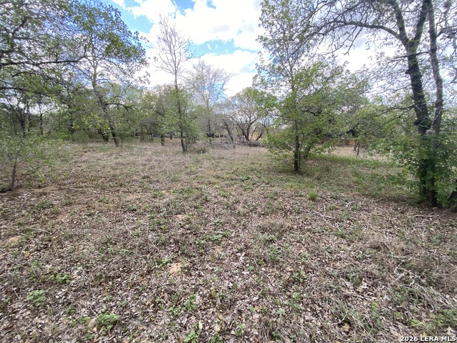 1823 Comal Cv Property Photo 1