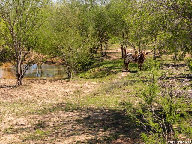 1283 S Loop 1604 W Property Photo 6