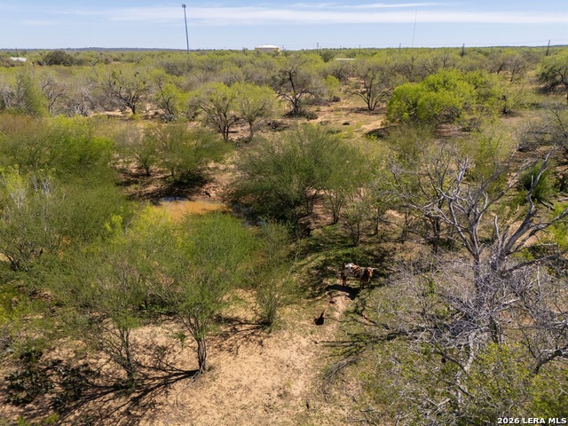 1283 S Loop 1604 W Property Photo 11
