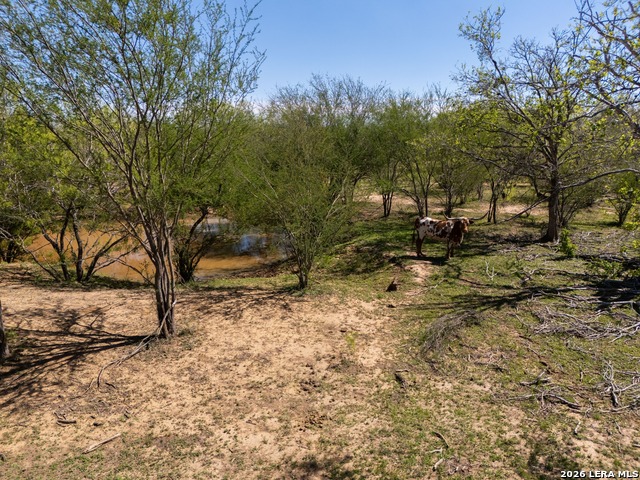 1283 S Loop 1604 W Property Photo 17