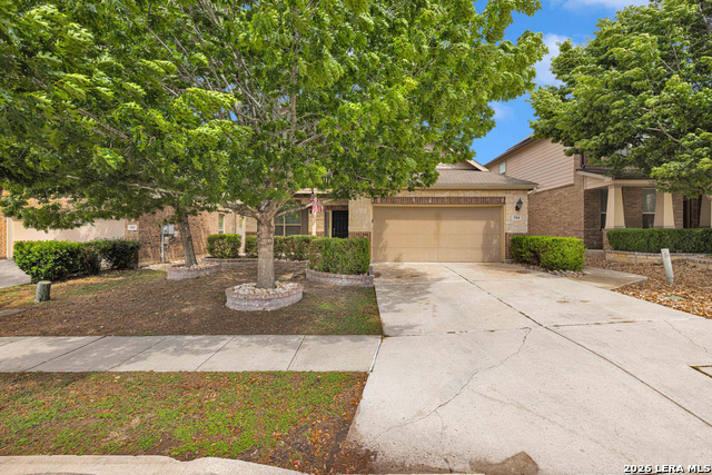 584 Saddlehorn Way