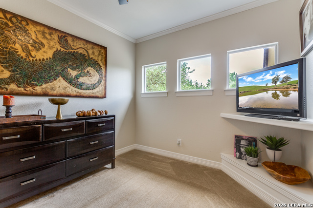 945 Great Tree Property Photo 12