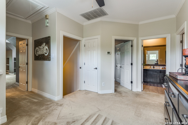 945 Great Tree Property Photo 14