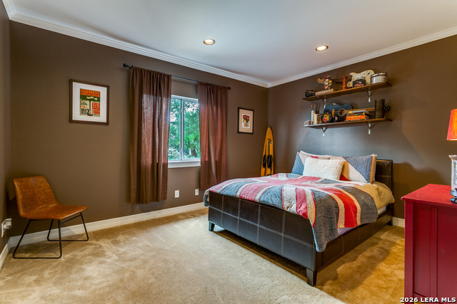 945 Great Tree Property Photo 18