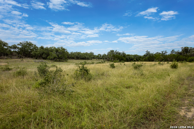 664 Travis Forest Dr Property Photo 1