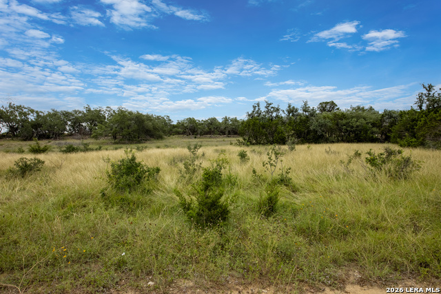 664 Travis Forest Dr Property Photo 2