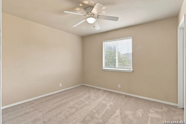 235 Roadrunner Property Photo 18