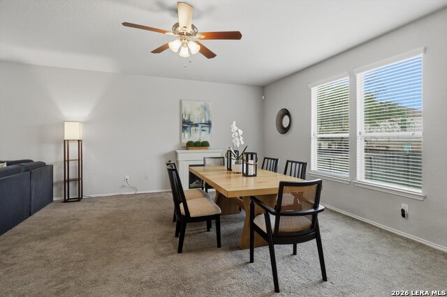 711 Rio Cactus Way Property Photo 10