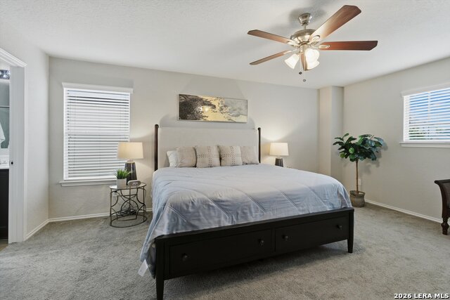 711 Rio Cactus Way Property Photo 19