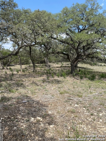 24510 Paraiso Ridge Property Photo 7
