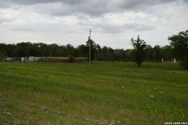 2880 Blue Wing Rd. Property Photo 9