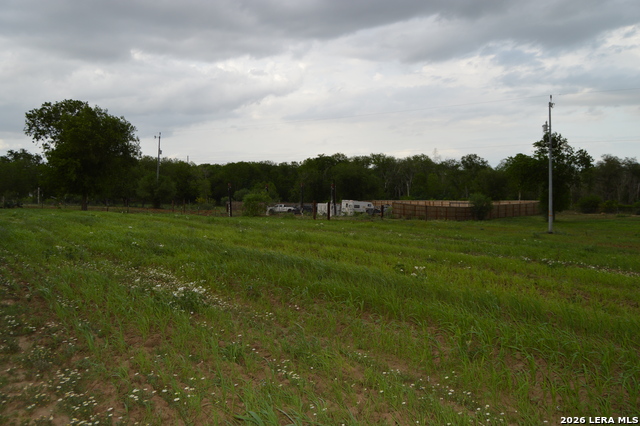 2880 Blue Wing Rd. Property Photo 10