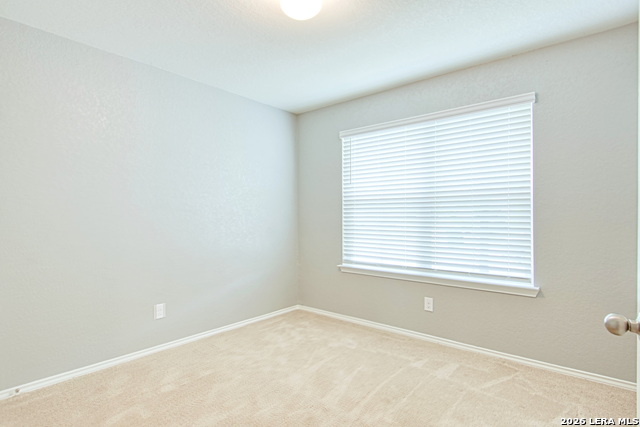 29516 Winter Copper Property Photo 6