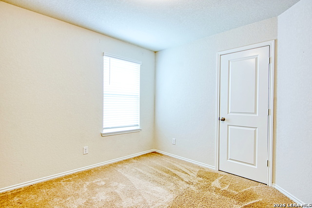 29516 Winter Copper Property Photo 28
