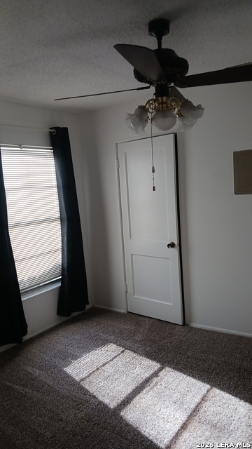 119 Langford Property Photo 22