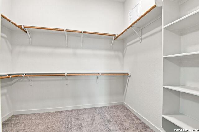10209 Bartenheim Drive Property Photo 19