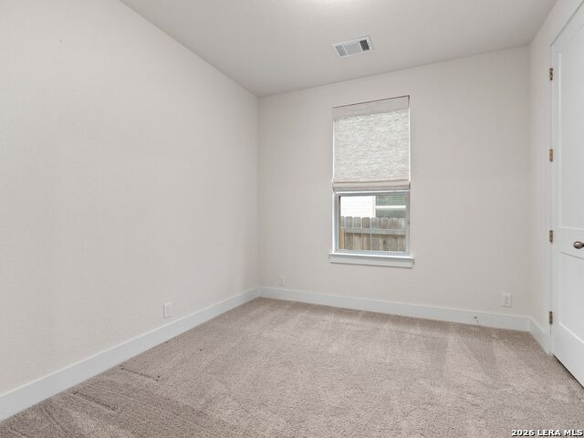 1037 Easy Gruene Property Photo 26